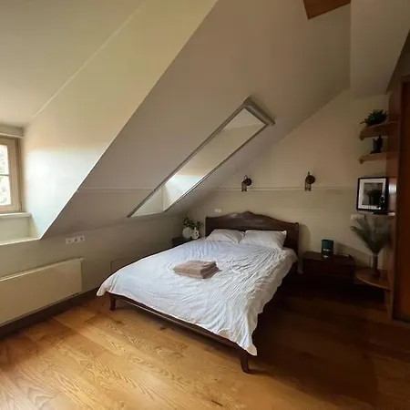 Apartamento Old Town With Free Parking Vilna