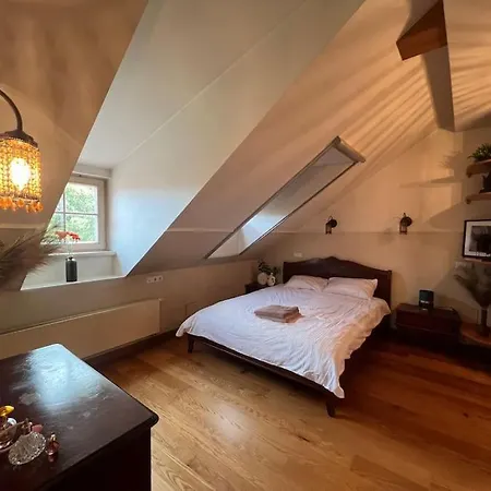 Old Town With Free Parking Apartment