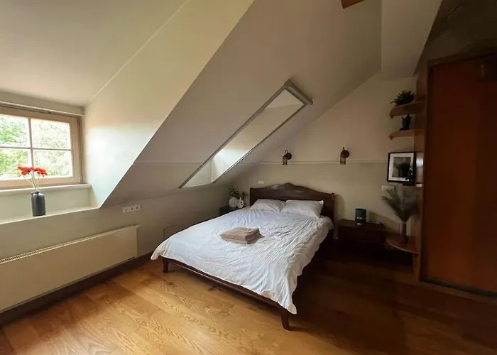 Apartamento Old Town With Free Parking Vilnius