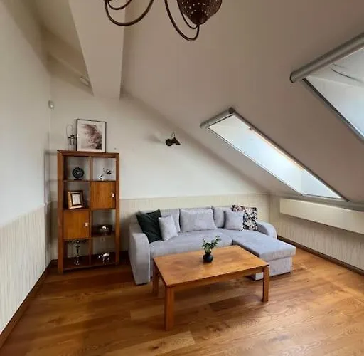 Old Town With Free Parking * Vilna